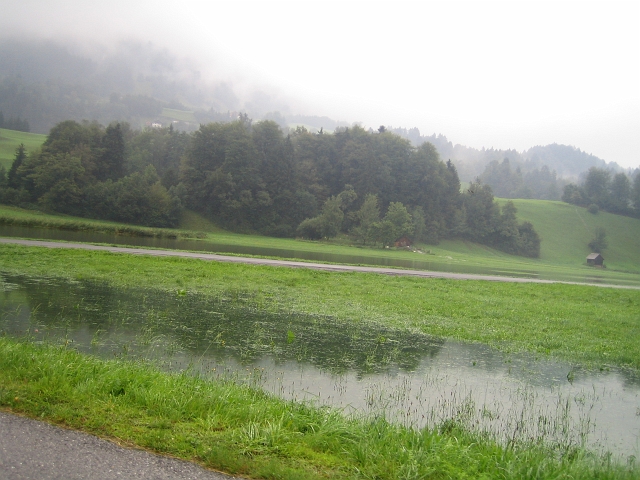 bild (35)